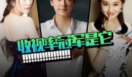 电视剧收视,揭秘电视剧背后的热门密码